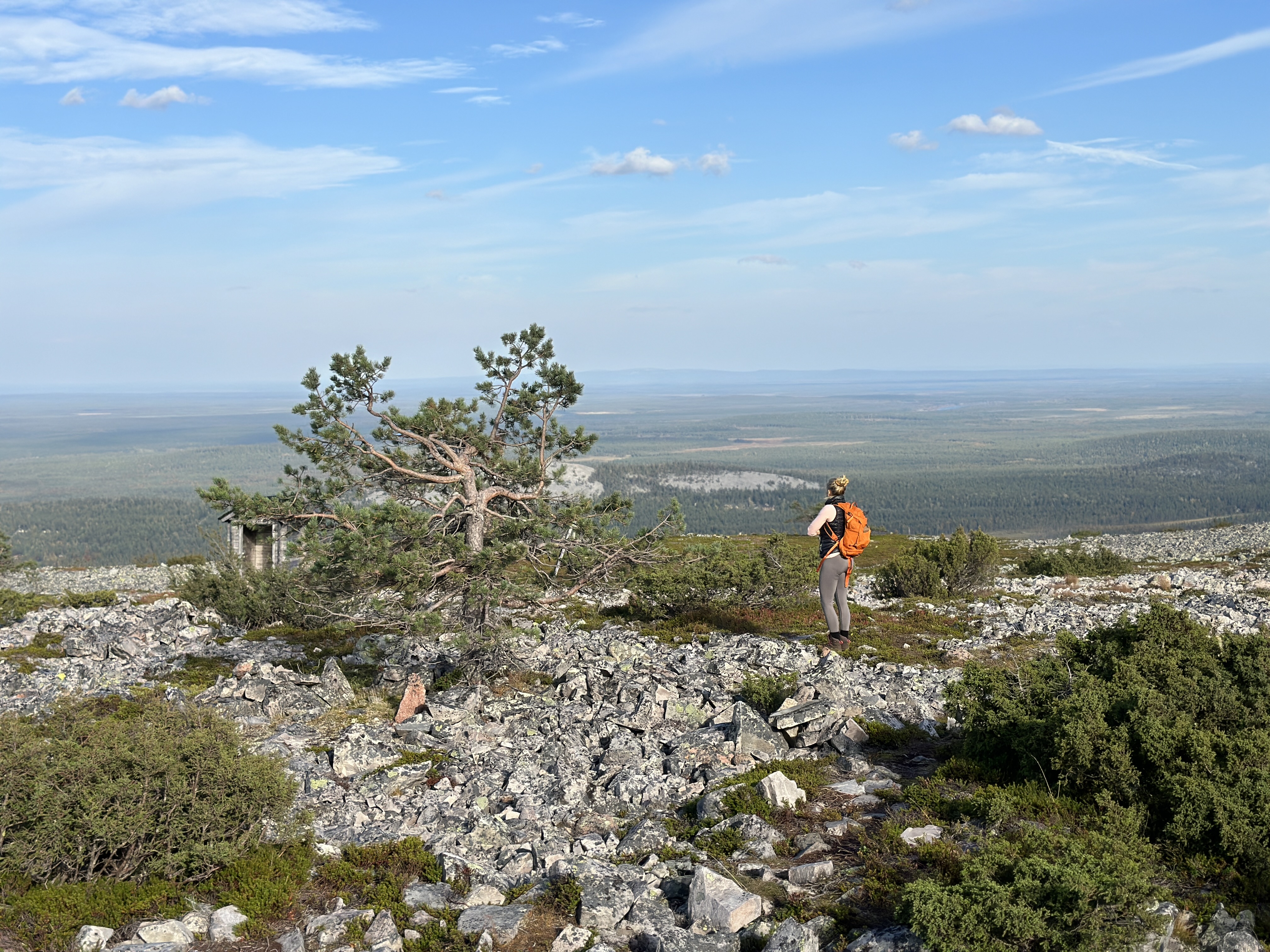 Vilho Ahola tunturimaisemassa
